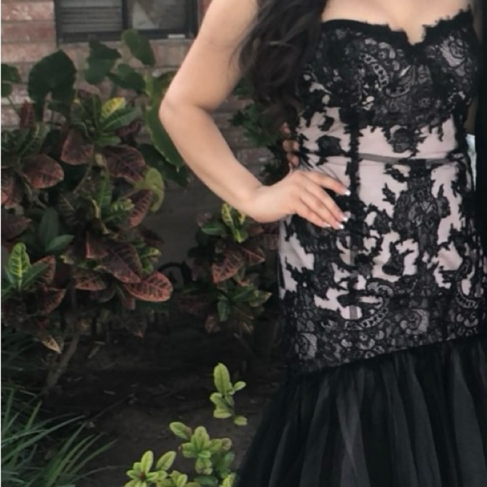 Elegant Black Lace Dress